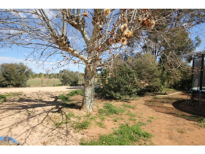 13 Creaton  Lane, Irymple VIC 3498