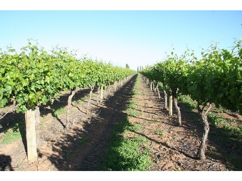 Lot 2 3081 Riverside  Avenue, Cabarita VIC 3505