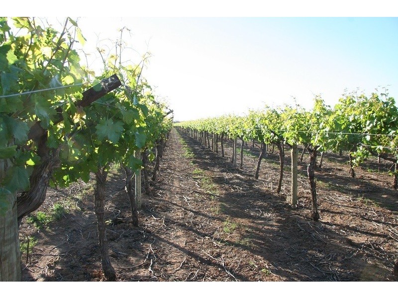 Lot 2 3081 Riverside  Avenue, Cabarita VIC 3505