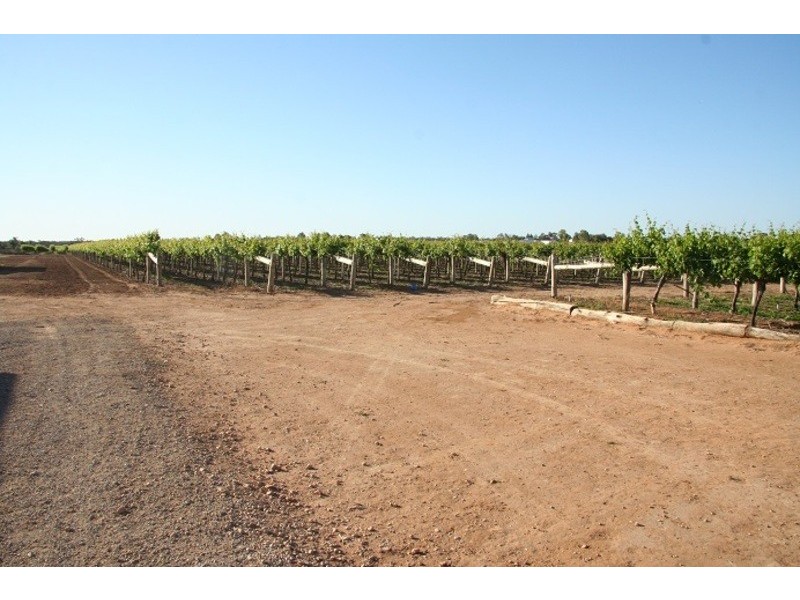 Lot 2 3081 Riverside  Avenue, Cabarita VIC 3505