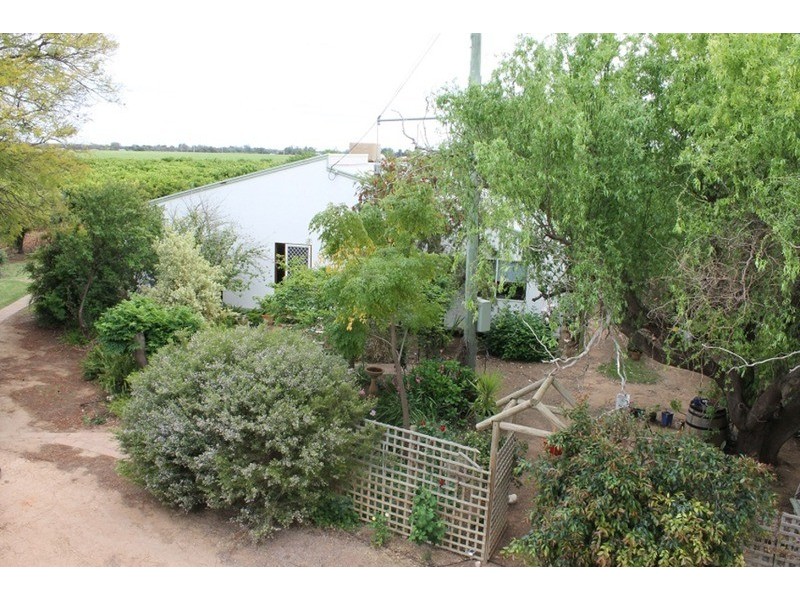 72 Poplar Road, Curlwaa NSW 2648