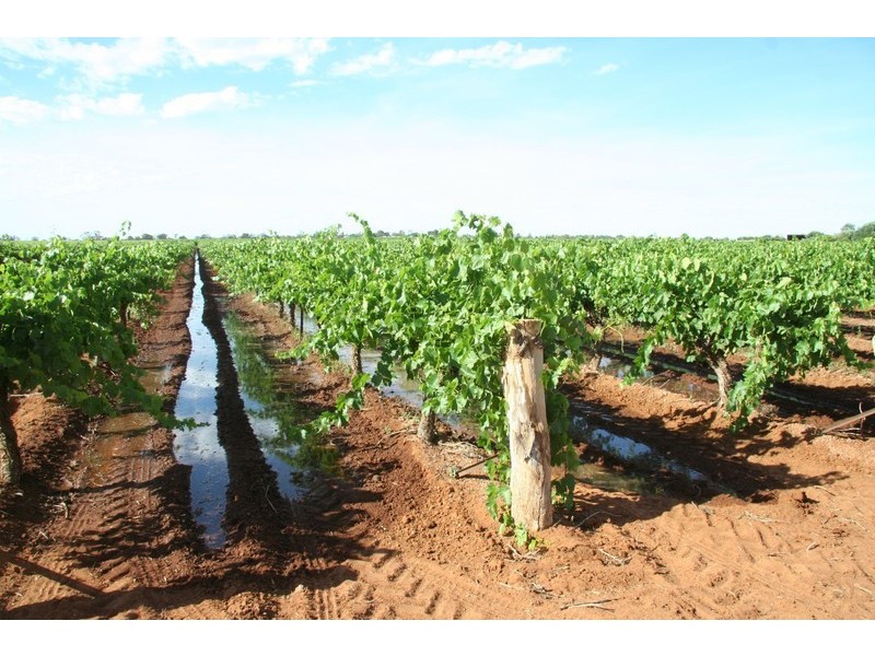 124 – 125 Seventh Street, Merbein VIC 3505