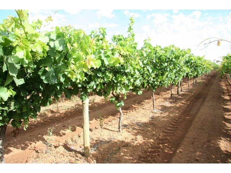 132 Seventh  Street, Merbein VIC 3505