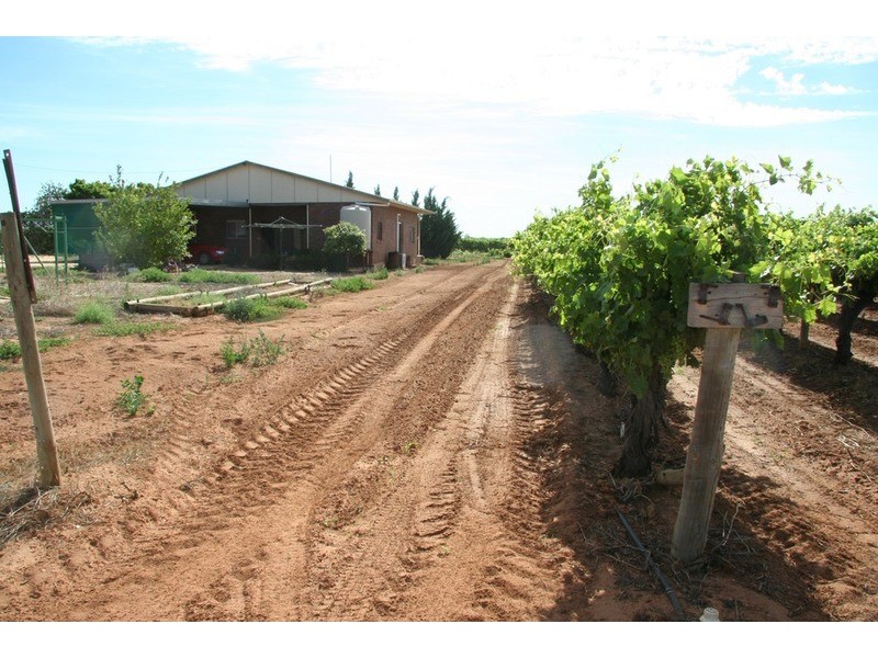 132 Seventh  Street, Merbein VIC 3505