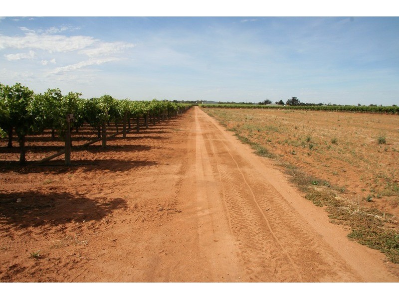 132 Seventh  Street, Merbein VIC 3505