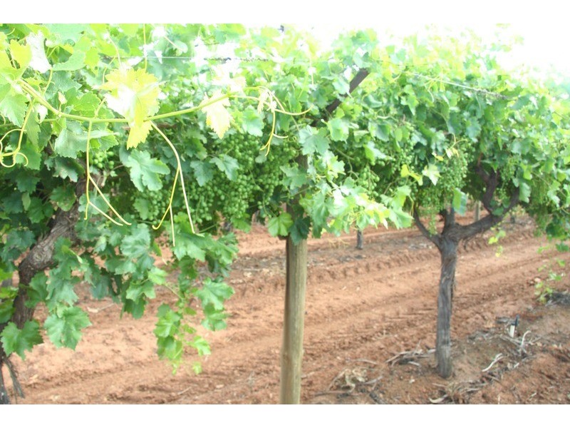 132 Seventh  Street, Merbein VIC 3505