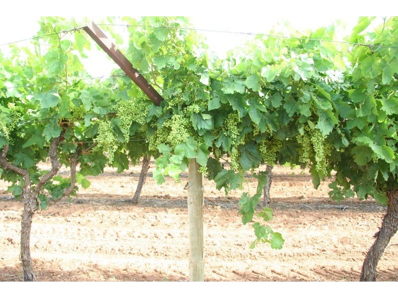 132 Seventh  Street, Merbein VIC 3505