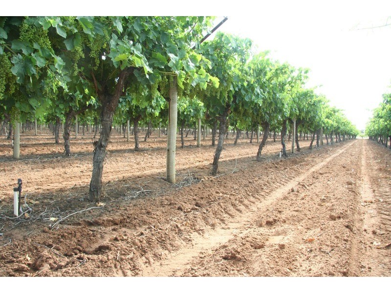 132 Seventh  Street, Merbein VIC 3505