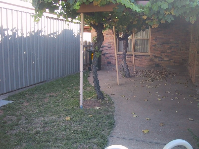 167 Twelfth Street, Mildura VIC 3500