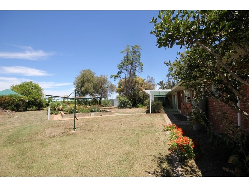 141 Morpung  Avenue, Irymple VIC 3498