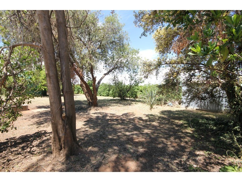 141 Morpung  Avenue, Irymple VIC 3498