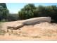 195 Kulkyne  Way, Red Cliffs VIC 3496