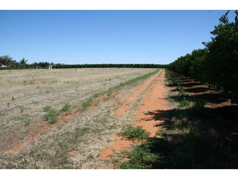 195 Kulkyne  Way, Red Cliffs VIC 3496