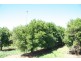 195 Kulkyne  Way, Red Cliffs VIC 3496