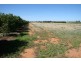 195 Kulkyne  Way, Red Cliffs VIC 3496