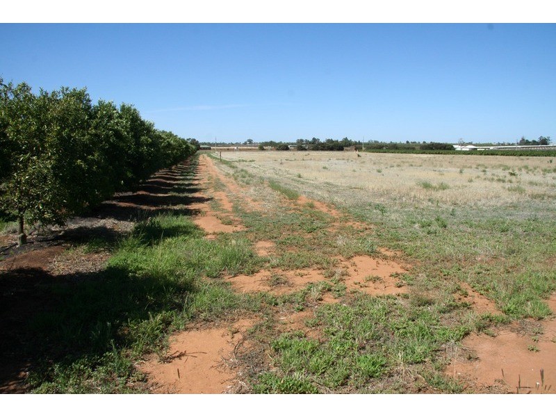 195 Kulkyne  Way, Red Cliffs VIC 3496