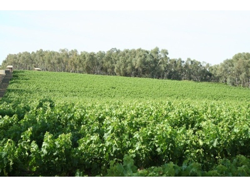 Lots 1 & 2 Cupper Road, Yelta VIC 3505