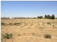 Lot 2  pumps Road, Red Cliffs VIC 3496