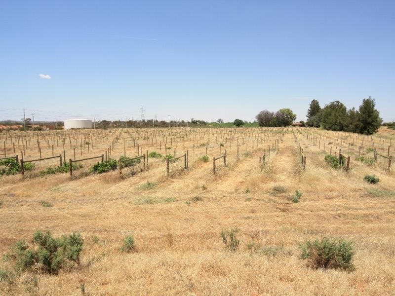 Lot 2  pumps Road, Red Cliffs VIC 3496