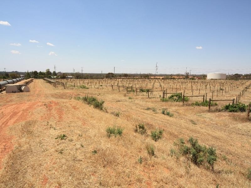 Lot 2  pumps Road, Red Cliffs VIC 3496