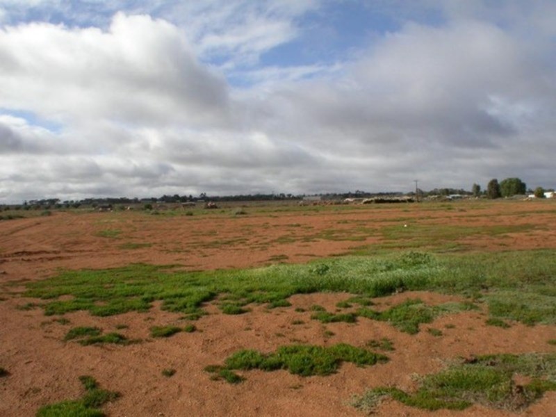 Lot 5  Sheoak Avenue, Mildura South VIC 3501