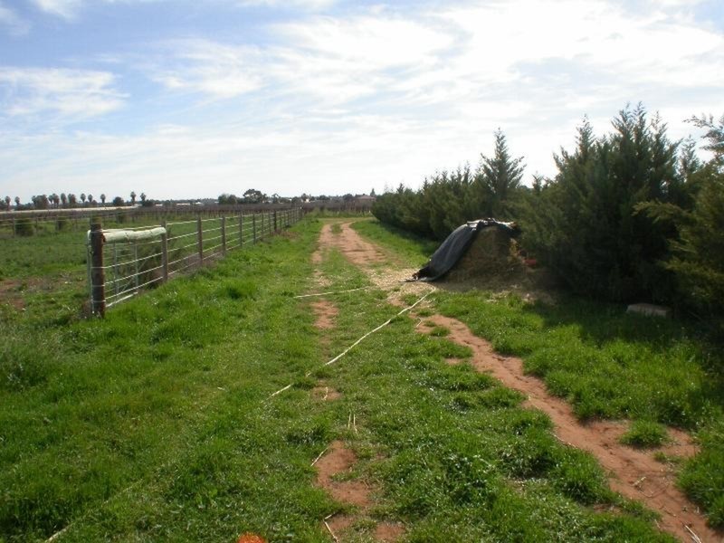 328 Cowanna Avenue, Merbein VIC 3505