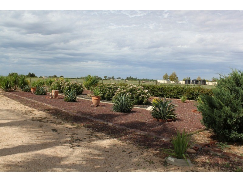 37 Dewry Avenue, Irymple VIC 3498