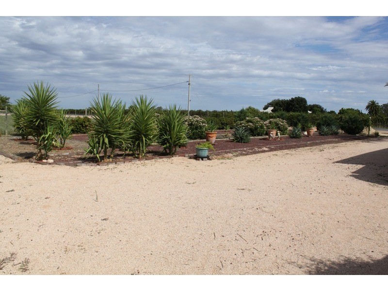 37 Dewry Avenue, Irymple VIC 3498