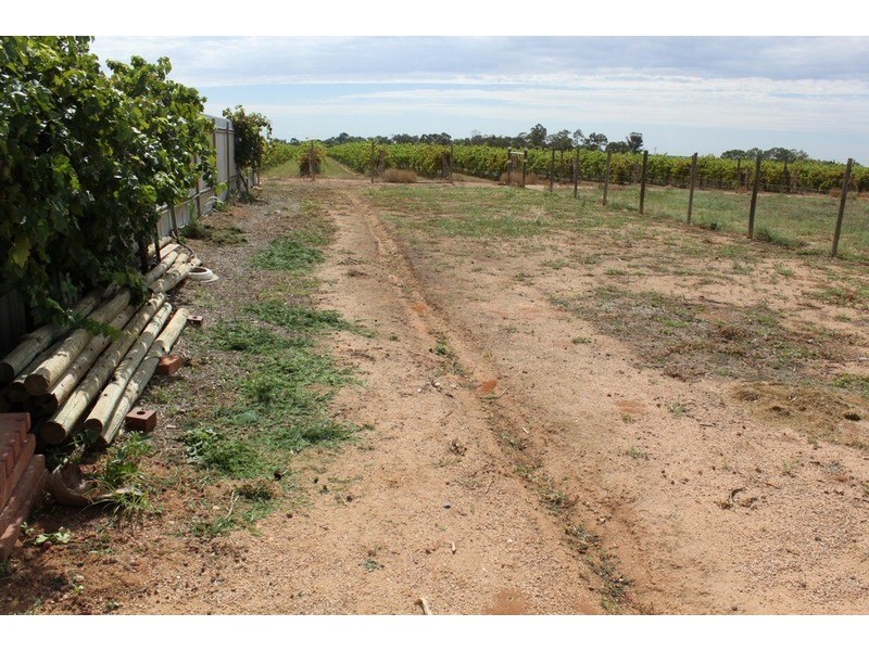 37 Dewry Avenue, Irymple VIC 3498