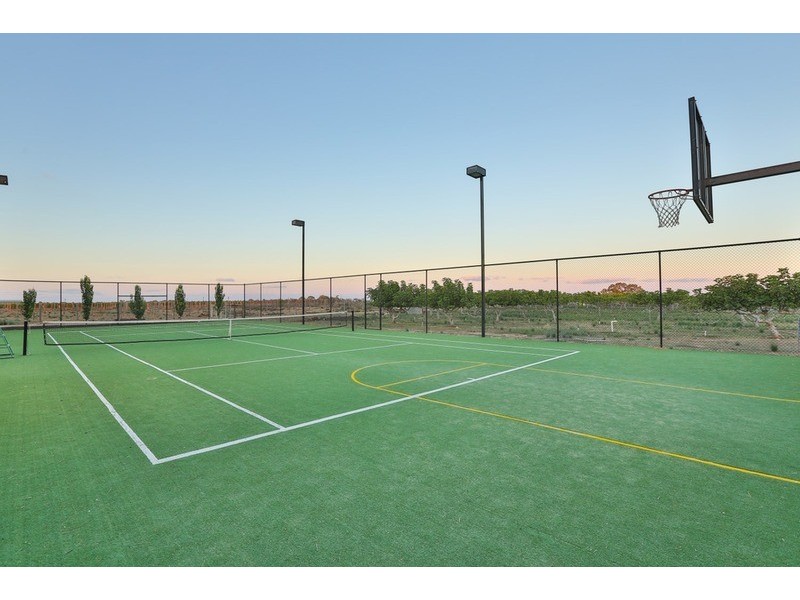 57 Mitchell Lane, Gol Gol NSW 2738