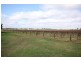 Block 207 Calder Highway, Red Cliffs VIC 3496