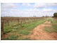Block 207 Calder Highway, Red Cliffs VIC 3496