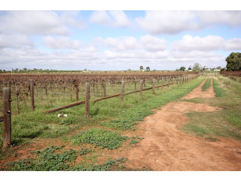 Block 207 Calder Highway, Red Cliffs VIC 3496