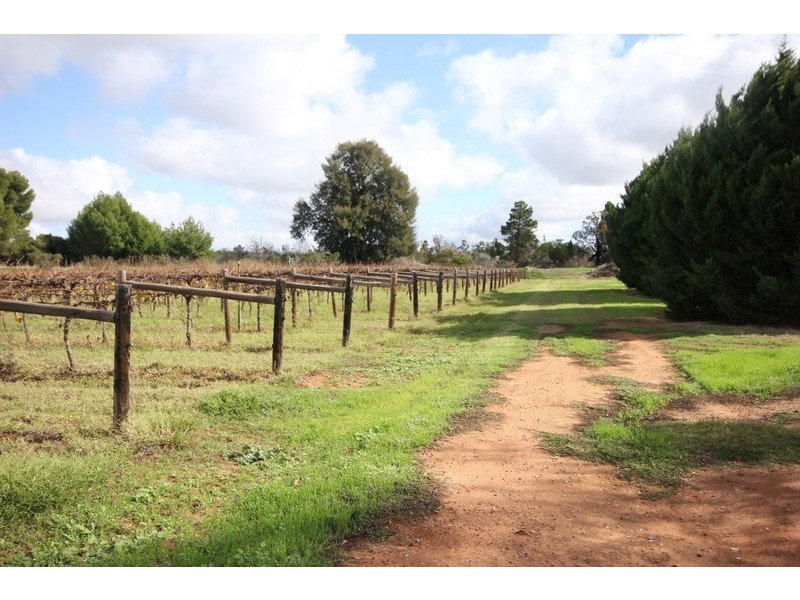 Block 207 Calder Highway, Red Cliffs VIC 3496