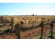 128 Coorong  Avenue, Irymple VIC 3498