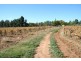 128 Coorong  Avenue, Irymple VIC 3498