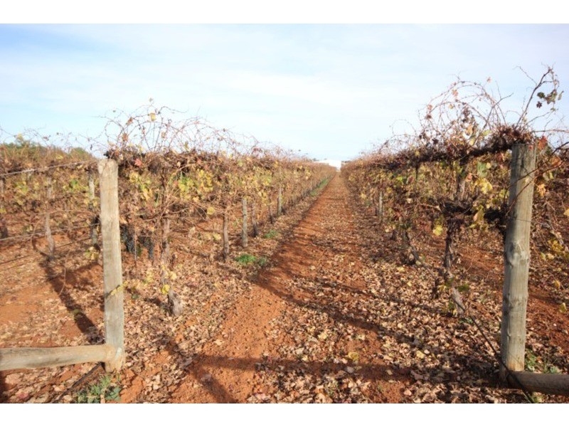 109 & 112 Wolfe  Road, Red Cliffs VIC 3496