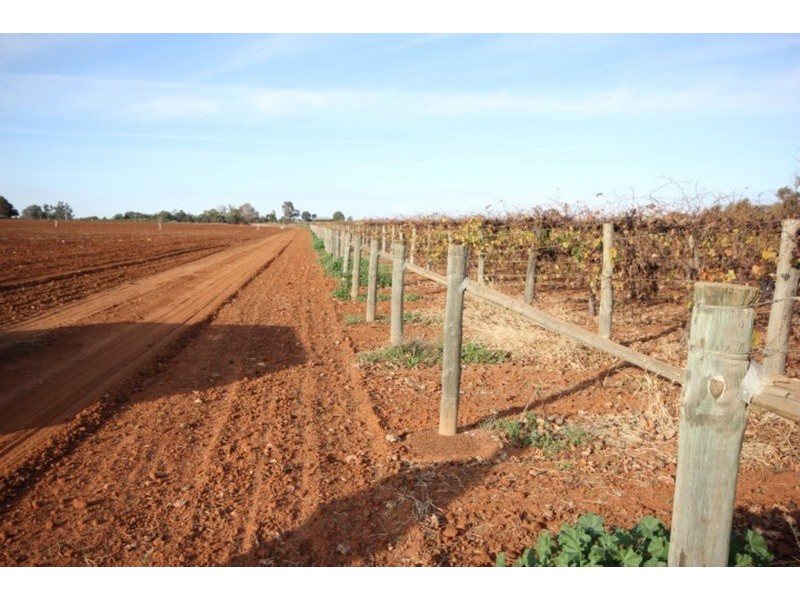 109 & 112 Wolfe  Road, Red Cliffs VIC 3496