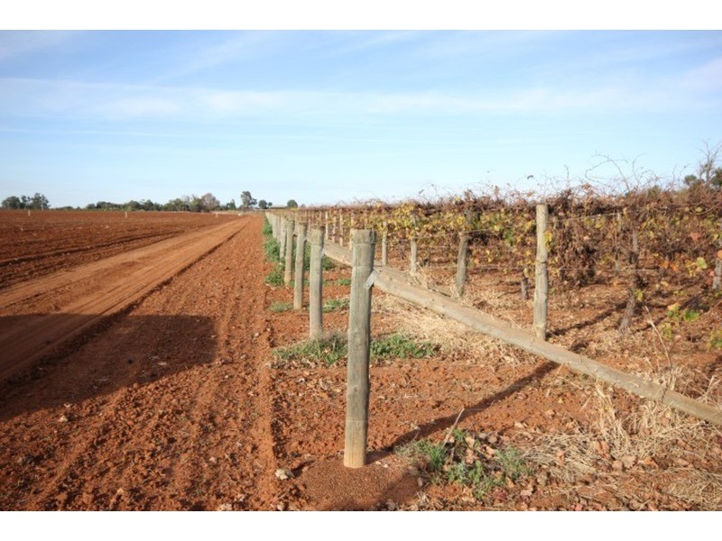 109 & 112 Wolfe  Road, Red Cliffs VIC 3496