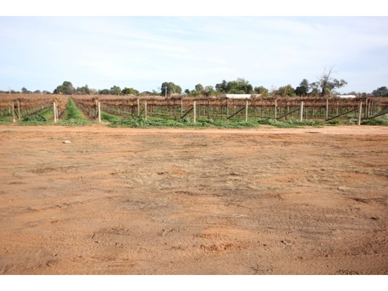 109 & 112 Wolfe  Road, Red Cliffs VIC 3496