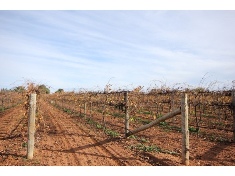 109 & 112 Wolfe  Road, Red Cliffs VIC 3496