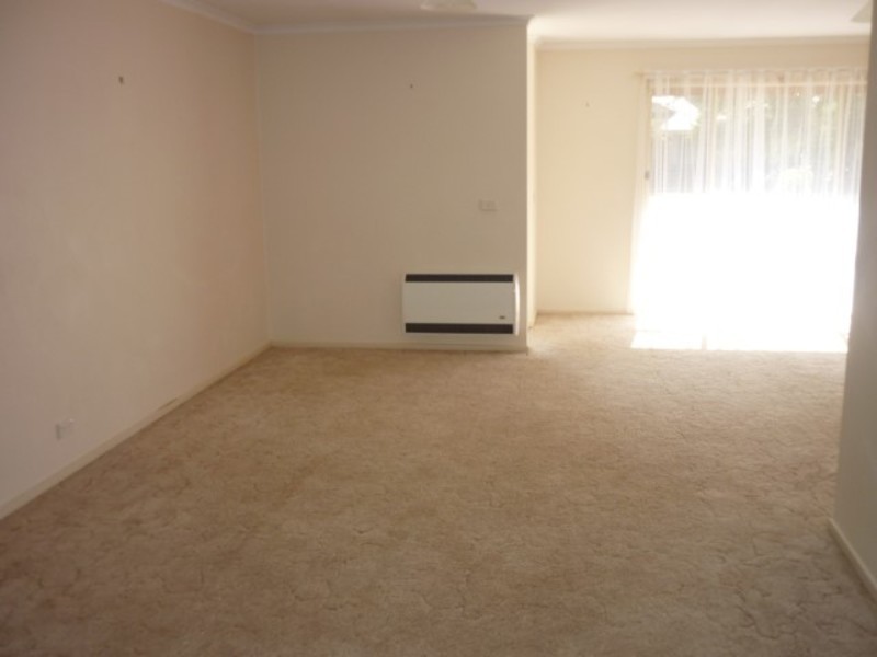 20 Caffrey Court, Irymple VIC 3498