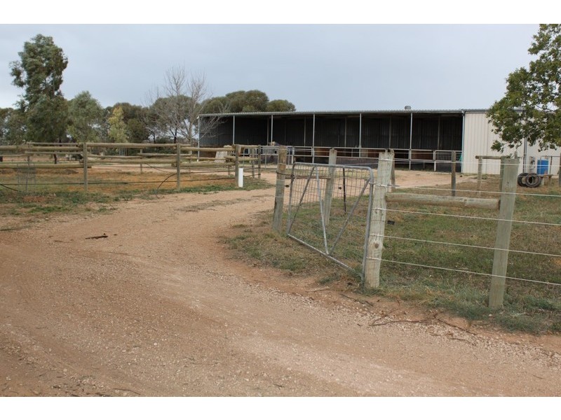 113 Dyar Avenue, Cabarita VIC 3505