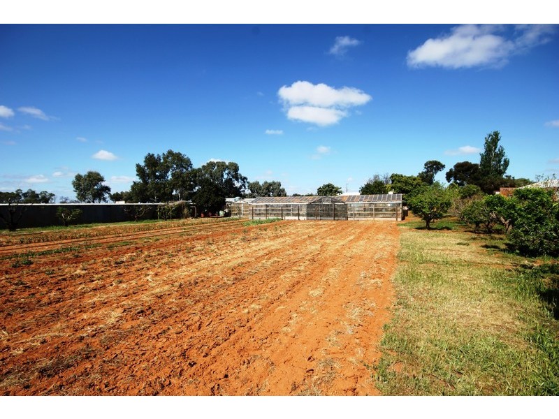 360  Wilga Road, Red Cliffs VIC 3496