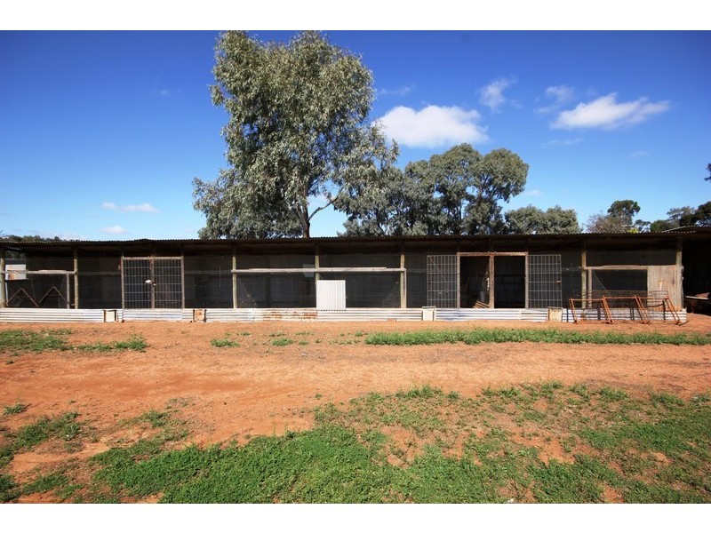 360  Wilga Road, Red Cliffs VIC 3496