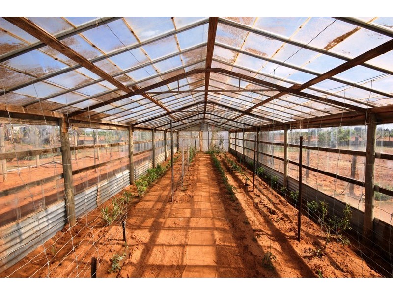 360  Wilga Road, Red Cliffs VIC 3496