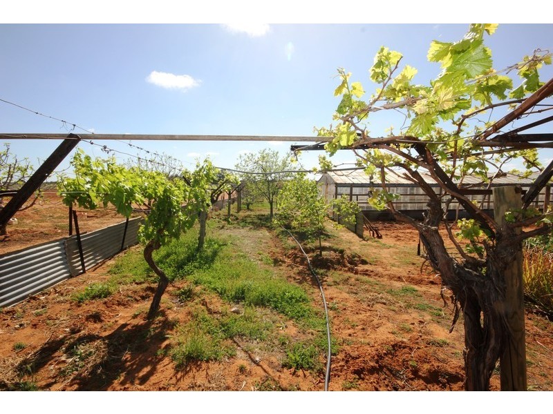 360  Wilga Road, Red Cliffs VIC 3496