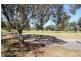 23 Campbell Grove, Mildura VIC 3500