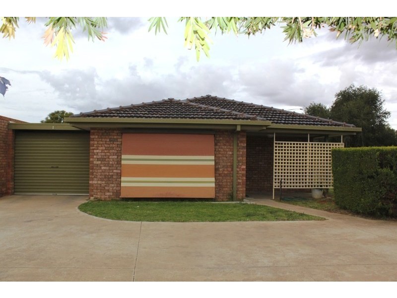1/49 Jamieson Avenue, Red Cliffs VIC 3496