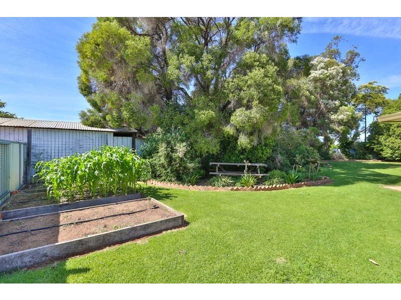 151 Ginquam Avenue, Irymple VIC 3498